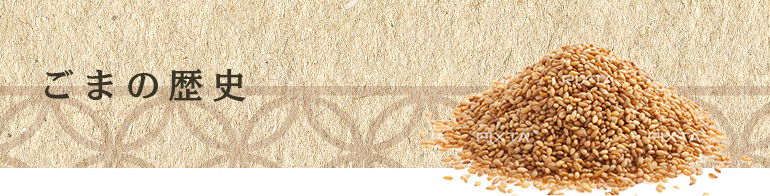 ごまの歴史