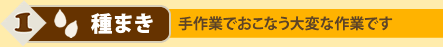ゴマへのこだわり