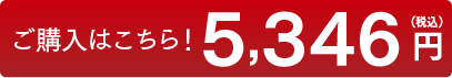 ご購入はこちら！ 5,346円（税込）